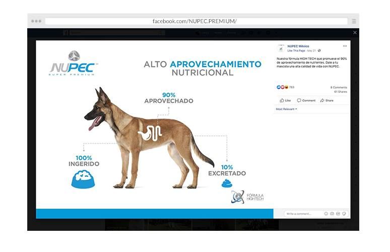 Marketing digital