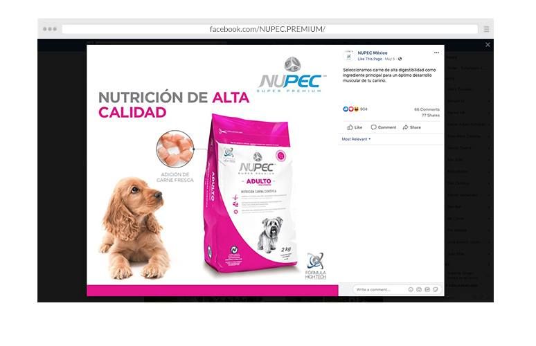 Marketing digital