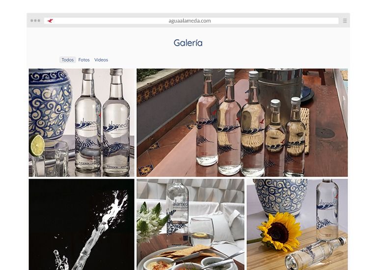 Desarrollo web