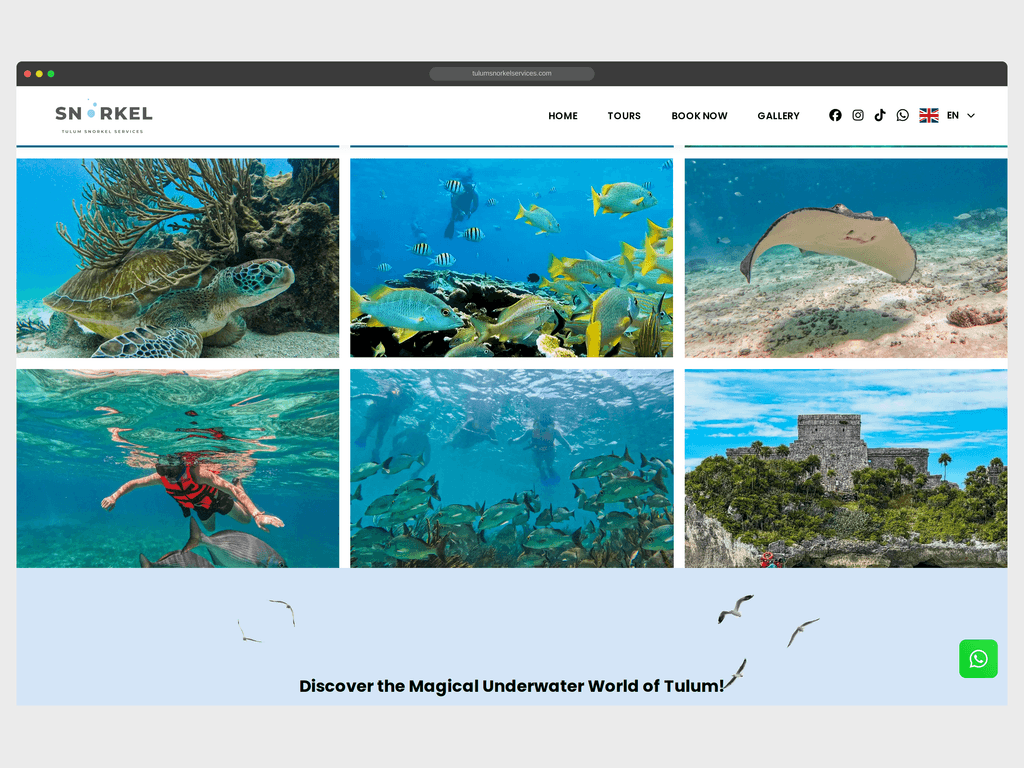 Desarrollo web