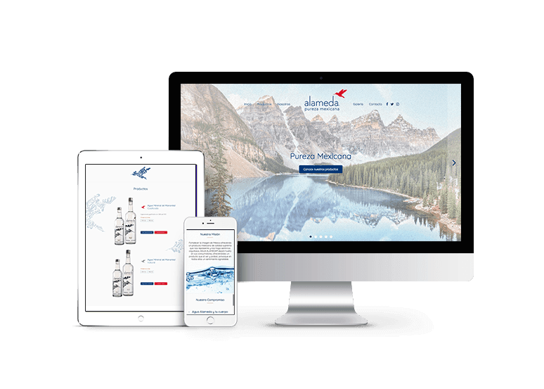Desarrollo web