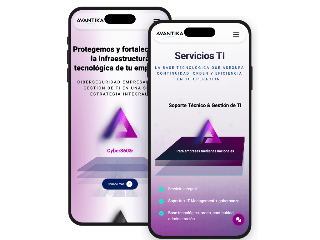 Desarrollo web
