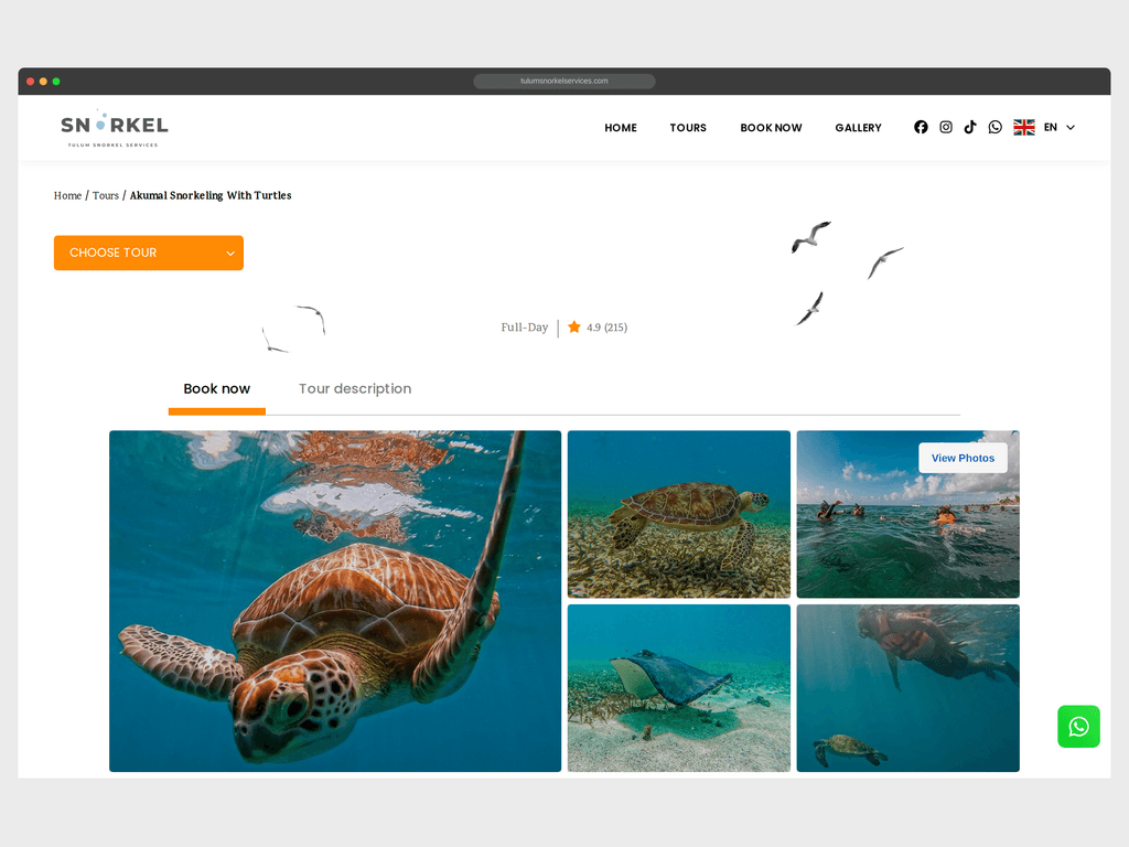Desarrollo web