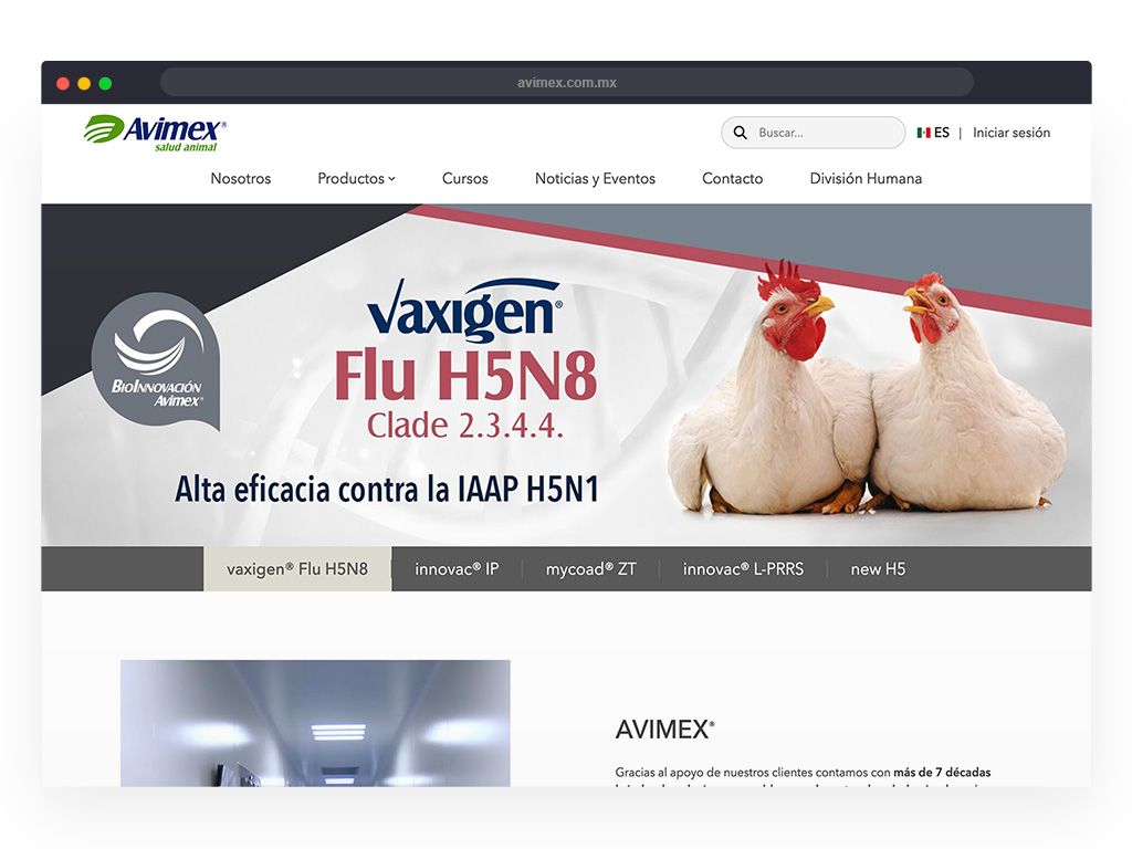 Desarrollo web