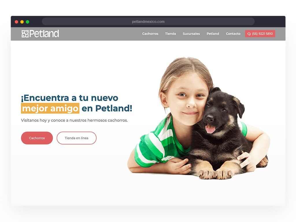 Desarrollo web