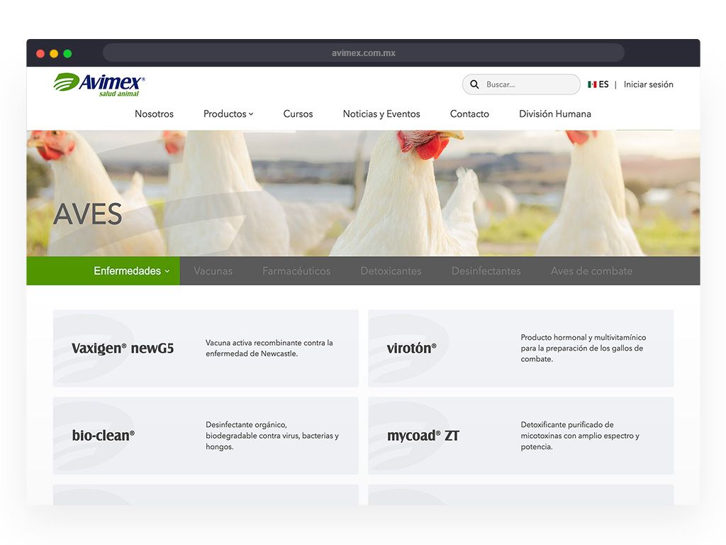 Desarrollo web