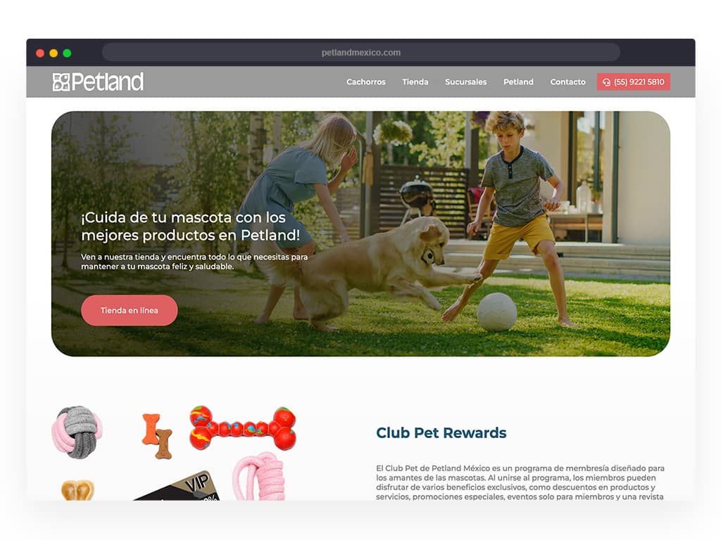 Desarrollo web