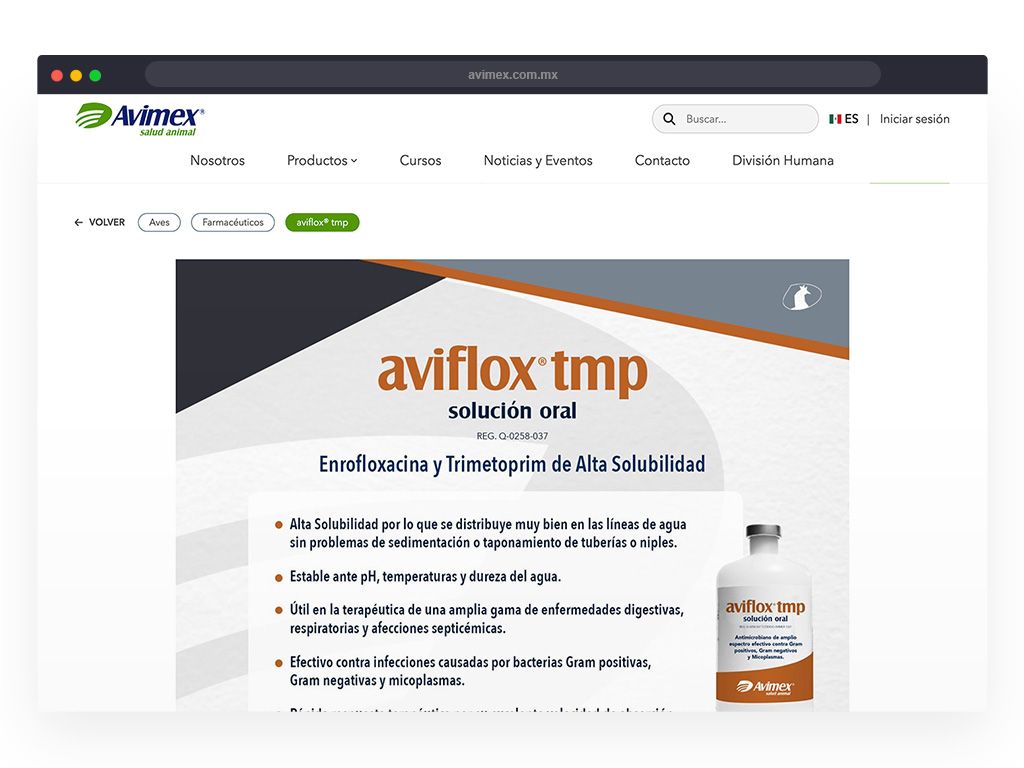 Desarrollo web