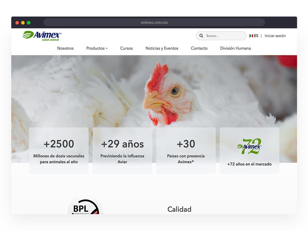 Desarrollo web