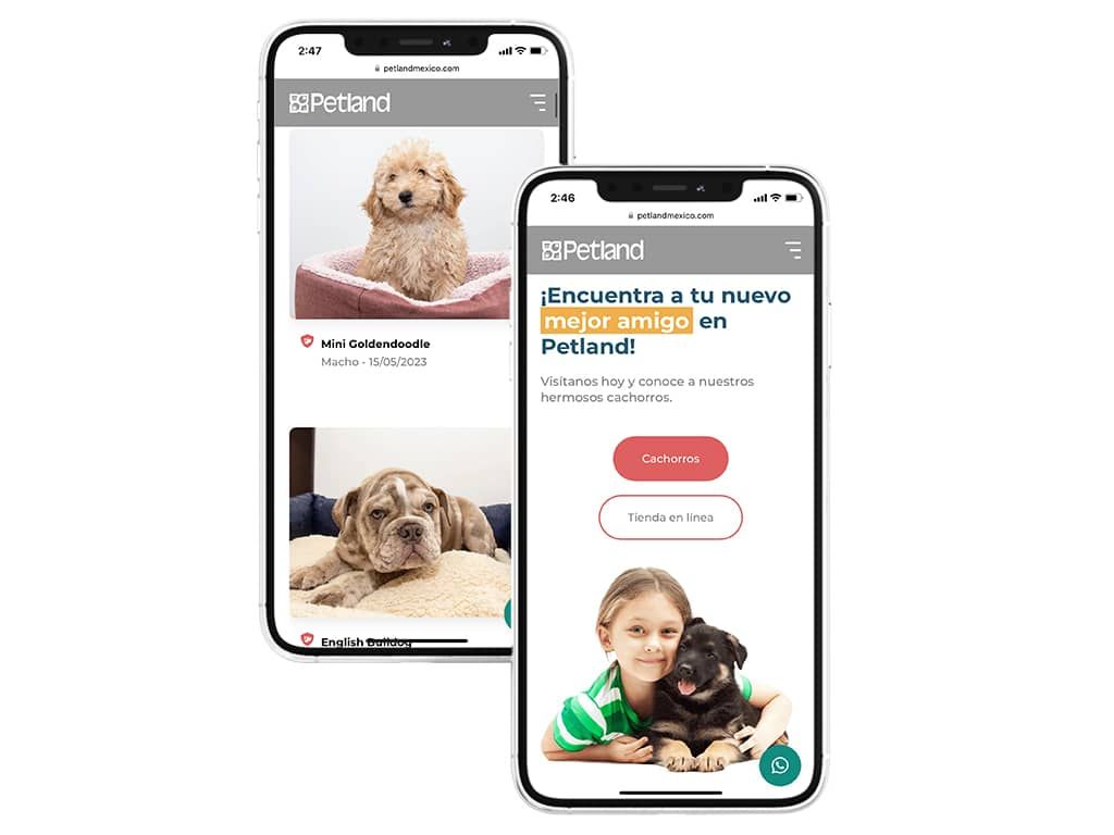 Desarrollo web
