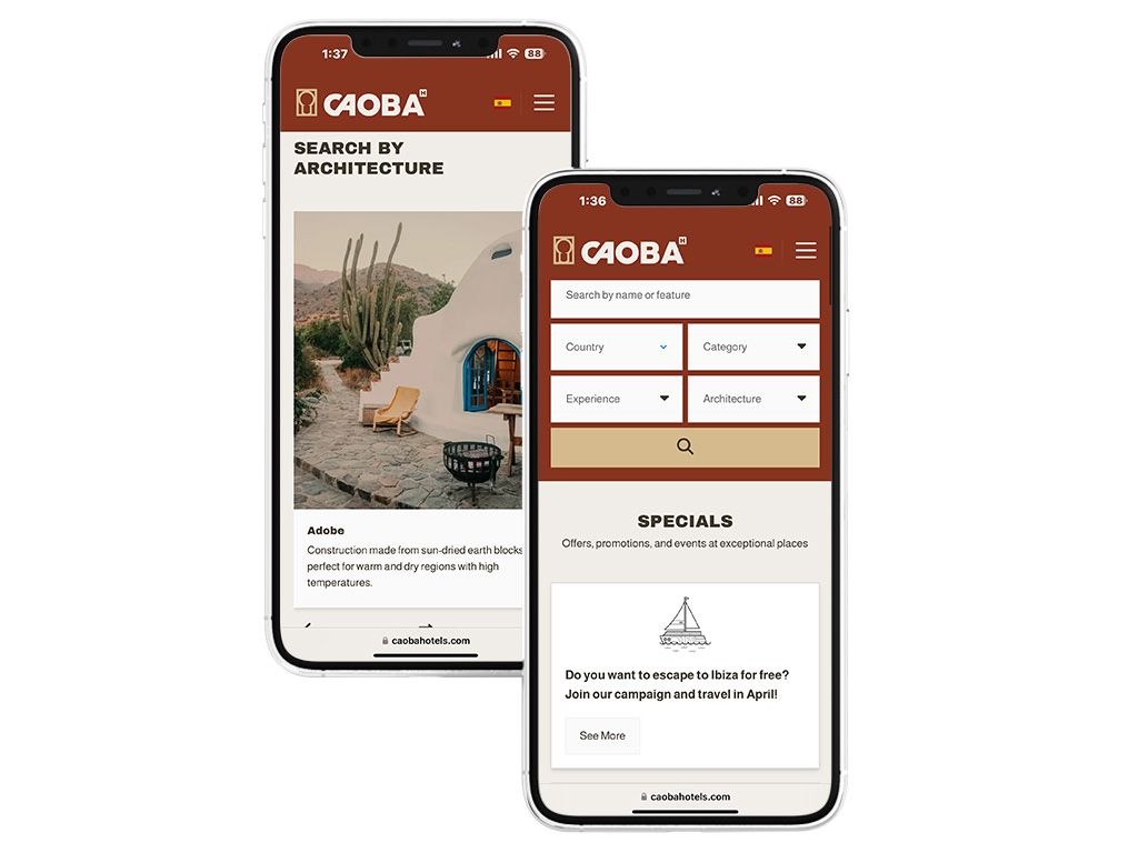 Desarrollo web