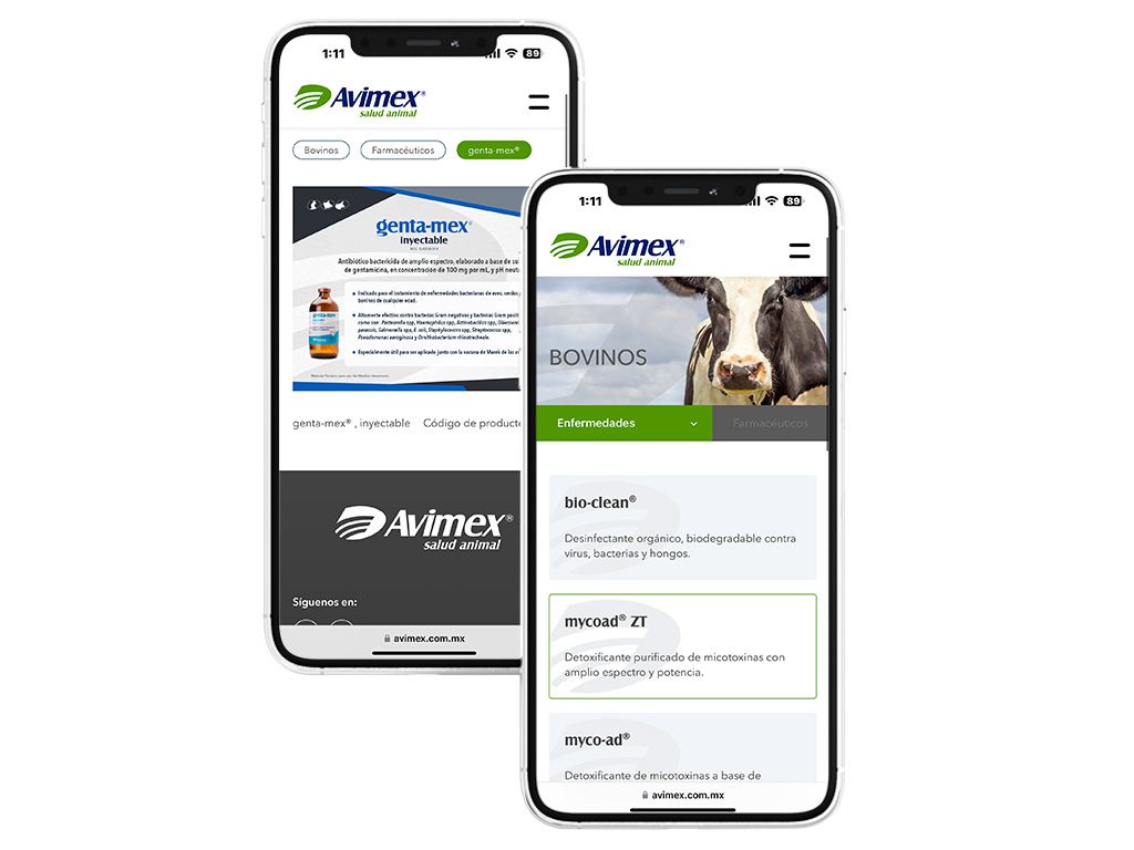 Desarrollo web
