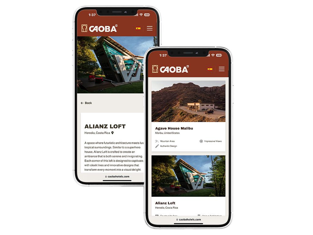 Desarrollo web